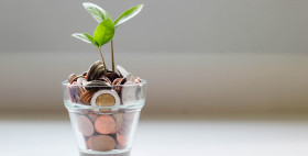 Pot en verre rempli de pièces avec une plante